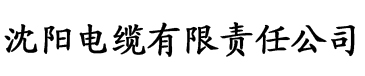 久久久久高潮毛片免费全部播放电缆厂logo